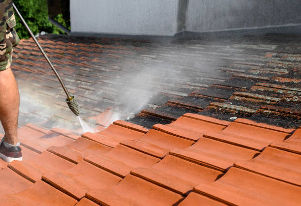 Best Commercial Pressure Washing  in Campti, LA