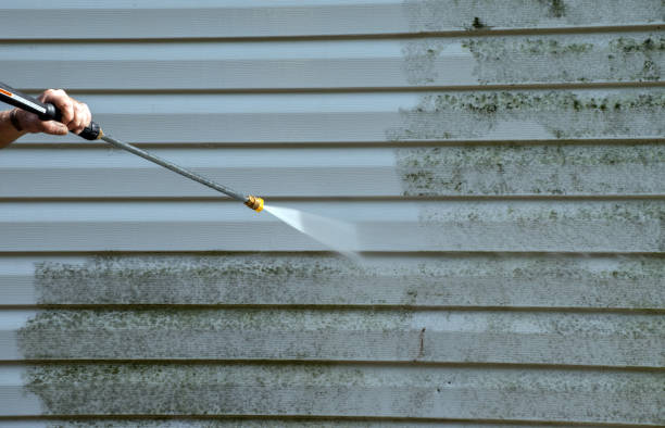 Best Roof Pressure Washing  in Campti, LA
