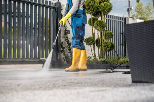 Best Affordable Power Washing  in Campti, LA