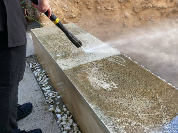 Best Local Pressure Washing Services  in Campti, LA